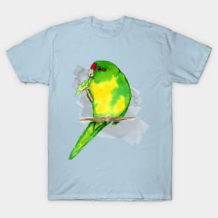 A watercolor of a Red-crowned parakeet T-Shirt